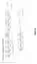 Fig. 03 - ANTI-THROMBOGENIC GRAFTS