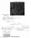 Fig. 17 - ANTI-THROMBOGENIC GRAFTS
