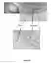 Fig. 21 - ANTI-THROMBOGENIC GRAFTS