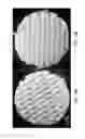 Fig. 04 - Ceramic-containing bioactive inks and printing methods for tissue engineering applications