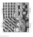 Fig. 05 - Ceramic-containing bioactive inks and printing methods for tissue engineering applications