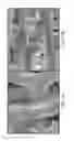 Fig. 08 - Ceramic-containing bioactive inks and printing methods for tissue engineering applications