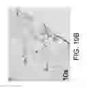 Fig. 12 - Ceramic-containing bioactive inks and printing methods for tissue engineering applications