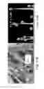Fig. 13 - Ceramic-containing bioactive inks and printing methods for tissue engineering applications