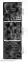 Fig. 15 - Ceramic-containing bioactive inks and printing methods for tissue engineering applications