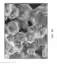 Fig. 18 - Ceramic-containing bioactive inks and printing methods for tissue engineering applications