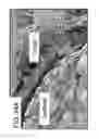Fig. 25 - Ceramic-containing bioactive inks and printing methods for tissue engineering applications