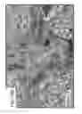 Fig. 26 - Ceramic-containing bioactive inks and printing methods for tissue engineering applications