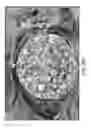 Fig. 28 - Ceramic-containing bioactive inks and printing methods for tissue engineering applications