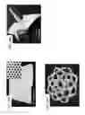 Fig. 33 - Ceramic-containing bioactive inks and printing methods for tissue engineering applications