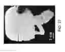 Fig. 34 - Ceramic-containing bioactive inks and printing methods for tissue engineering applications