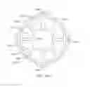 Fig. 46 - Ventricular cuff