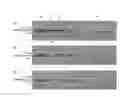 Fig. 03 - SYRINGE FOR TYMPANIC INJECTION