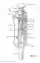 Fig. 06 - Syringe devices