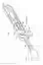 Fig. 22 - Rectal Injection Device And Method Of Operation Thereof