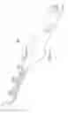 Fig. 43 - Rectal Injection Device And Method Of Operation Thereof