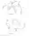 Fig. 69 - Mask system with snap-fit shroud