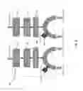 Fig. 07 - Systems and methods for generating nitric oxide
