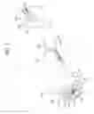 Fig. 02 - Treatment device using high frequency
