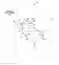 Fig. 01 - Electrical stimulation to inhibit bladder and/or bowel contraction