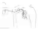 Fig. 01 - Power management for an implantable device