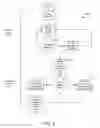 Fig. 05 - Ambulatory medical device interaction