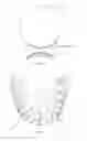 Fig. 02 - Tooth-whitening device