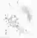Fig. 19 - Aerial fire suppression system
