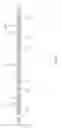 Fig. 17 - Squat bar for fitness machine