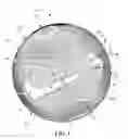 Fig. 02 - Sports ball