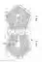 Fig. 04 - Sports ball