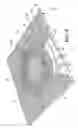 Fig. 06 - Sports ball