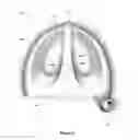 Fig. 14 - Adjustable Golf Club