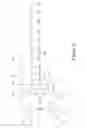 Fig. 07 - Aids for croquet: practice training aids and “on-mallet” playing aids