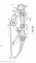 Fig. 23 - SKI SYSTEM AND TRACK SYSTEM FOR A VEHICLE