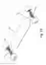 Fig. 14 - Multi-Pivoting Steering Mechanism