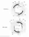 Fig. 06 - SPINNING TOP TOY