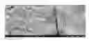 Fig. 01 - Composite for oil-water separation, synthesis methods and applications of same