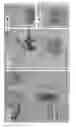 Fig. 15 - Composite for oil-water separation, synthesis methods and applications of same