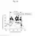 Fig. 11 - Exhaust gas purification catalyst