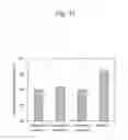 Fig. 18 - Exhaust gas purification catalyst