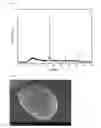 Fig. 05 - TERNARY INTERMETALLIC COMPOUND CATALYST