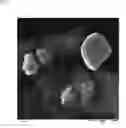 Fig. 33 - TERNARY INTERMETALLIC COMPOUND CATALYST
