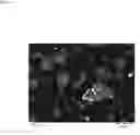 Fig. 38 - TERNARY INTERMETALLIC COMPOUND CATALYST