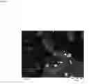 Fig. 40 - TERNARY INTERMETALLIC COMPOUND CATALYST