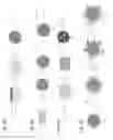 Fig. 03 - MICRO- OR NANOCAPSULES HAVING PHOTOCATALYTIC PROPERTIES FOR CONTROLLED RELEASE OF DIFFUSING AGENTS AND RESPECTIVE METHOD OF PRODUCTION