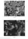 Fig. 04 - Microcapsules encapsulating a reflective agent