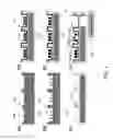 Fig. 02 - Multiplexed surface enhanced Raman sensors for early disease detection and in-situ bacterial monitoring