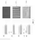 Fig. 08 - Multiplexed surface enhanced Raman sensors for early disease detection and in-situ bacterial monitoring