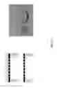 Fig. 22 - Multiplexed surface enhanced Raman sensors for early disease detection and in-situ bacterial monitoring